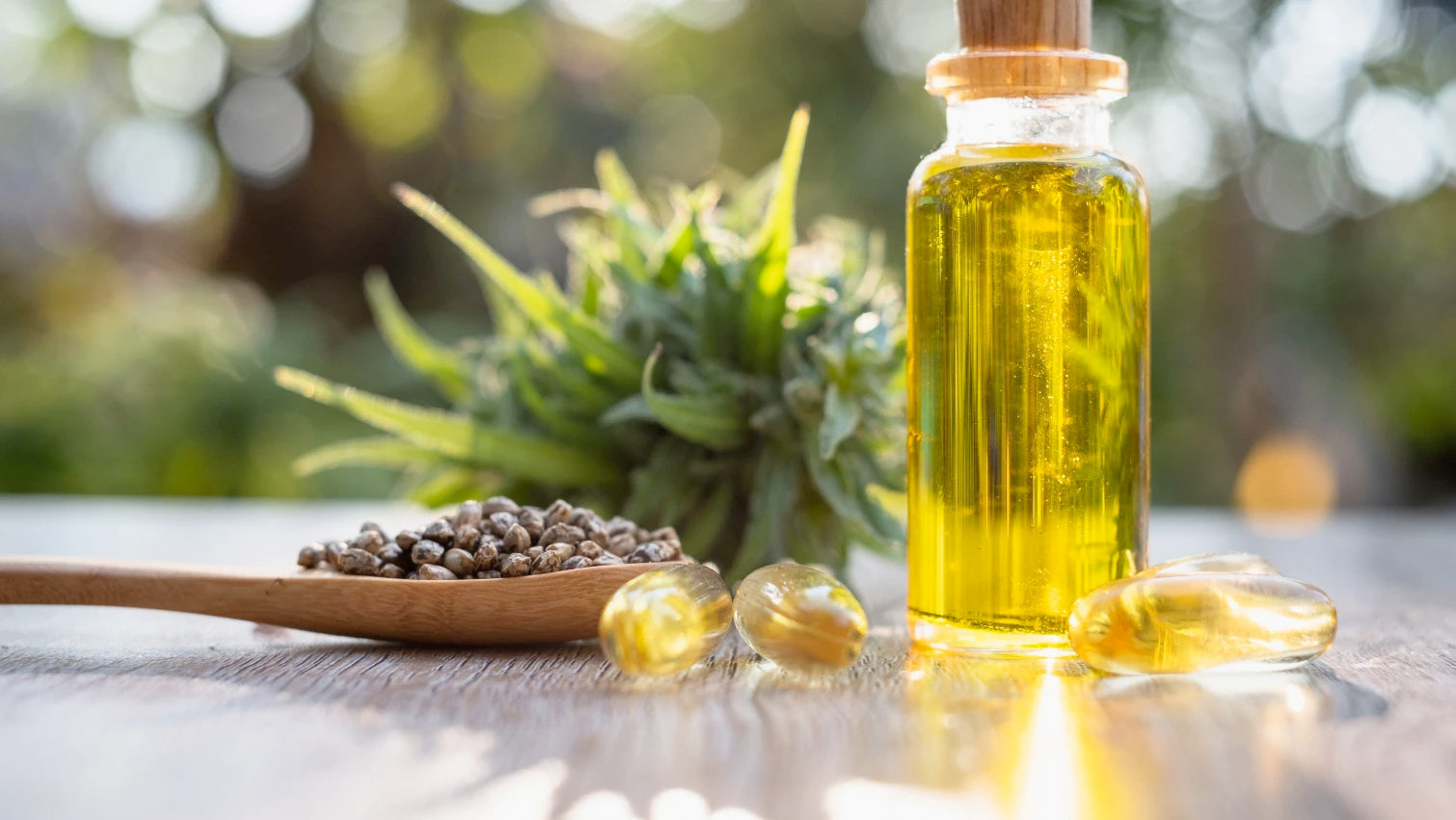 What is a CBD COA?: 4 key things to look for on a CBD Certificate of Analysis