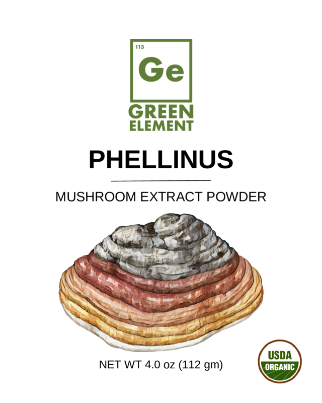 Phellinus Mushroom Extract - Organic