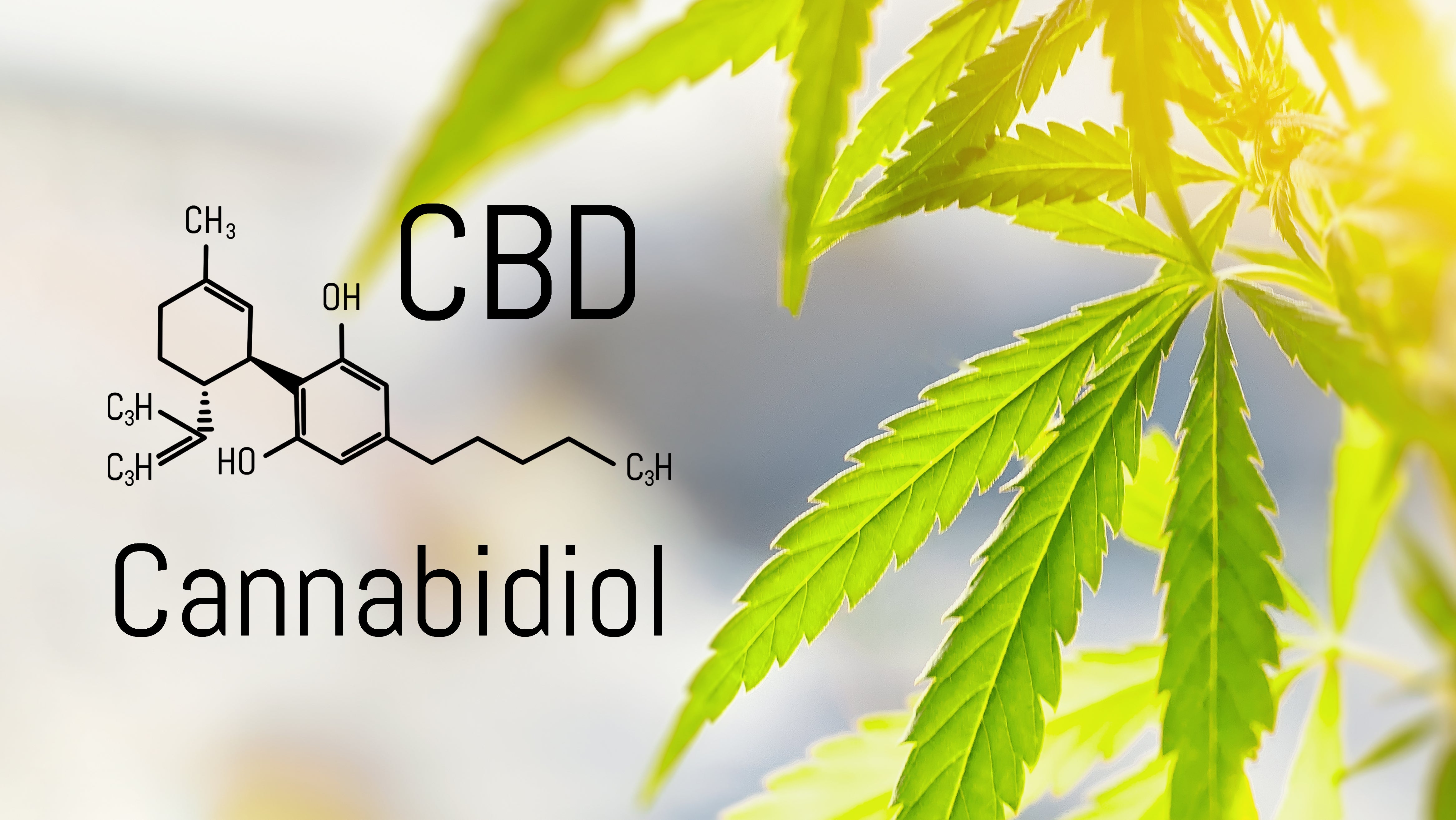 4 Things You Need to Know Before You Buy CBD
